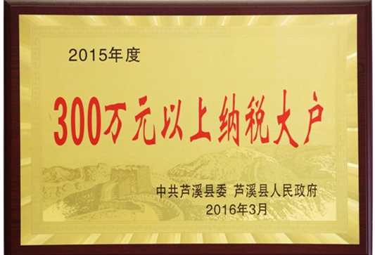300万元以上纳税大户